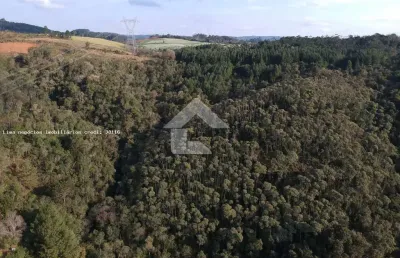 Terreno comercial à venda na Rua São Paulo, S/N, Zona Rural, Campo Magro