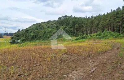 Terreno comercial à venda na Rua Do Forno, s/n, Centro, Campo Magro