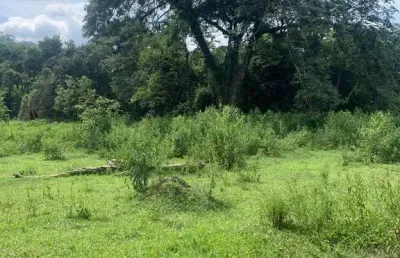 Terreno à venda, 1000 m² por r$ 80.000,00 - colégio  - brumadinho/mg