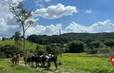 Área à venda, 60000 m² por r$ 500.000,00 - guedes - bonfim/mg