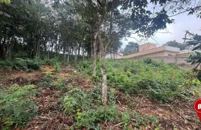 Terreno à venda, 1005 m² por r$ 220.000 - condominio quintas do brumado - brumadinho/minas gerais