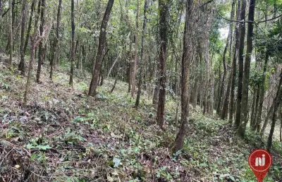 Terreno à venda, 1000 m² por r$ 200.000,00 - casa branca - brumadinho/mg