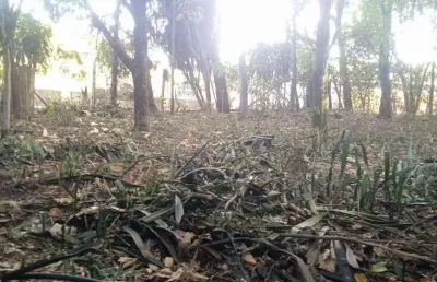 Terreno à venda, 360 m² por r$ 45.000,00 - recreio do lago - são joaquim de bicas/mg