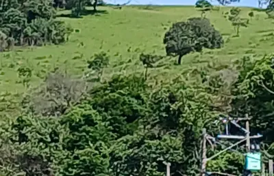 Casa com 3 quartos à venda no Centro, São Roque 