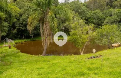 Chácara / sítio com 4 quartos à venda na Br 116 Km 156, 156, Zona Rural, Mandirituba