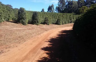 Fazenda / sítios / chácaras com 3 quartos à venda em lambari