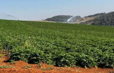 Fazenda / sítios / chácaras com 3 quartos à venda em pouso alegre