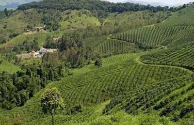 Fazenda / sítios / chácaras com 6 quartos à venda em conceição do rio verde
