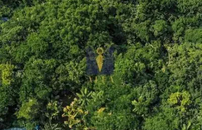 Casa com 4 quartos à venda em Ponta Grossa, Ubatuba 