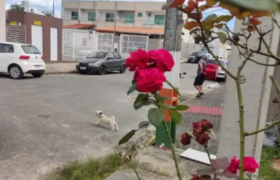 Casa em fase de acabamento em camboriú centro com 3 quartos sendo 1 suíte!!