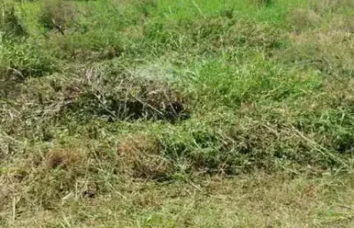 Terreno à venda no Santo Antônio, Concórdia 