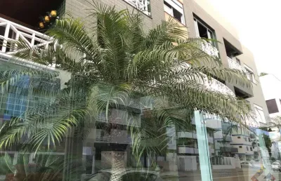Apartamento para venda em florianópolis, ingleses, 2 dormitórios, 1 suíte, 2 banheiros, 1 vaga