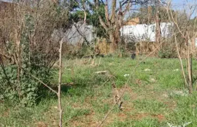 Terreno para venda em ribeirão preto, parque residencial cândido portinari