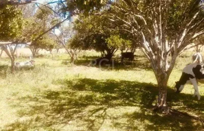 Terreno à venda na Rodovia BR-158, 200, Santa Helena, Cruz Alta