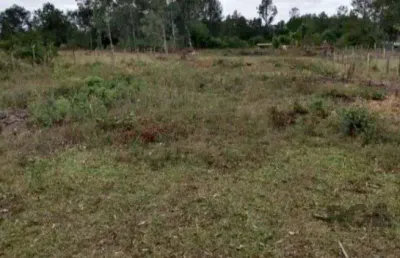 Terreno à venda na Avenida Dos Pinheiros, 972, Parque Eldorado, Eldorado do Sul