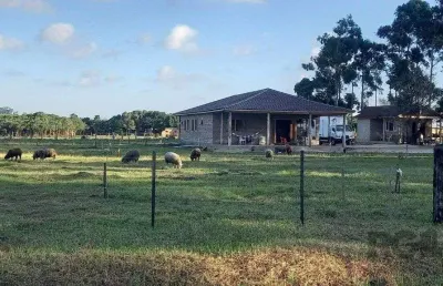 Chácara / sítio com 3 quartos à venda na Rua Cônego Pedro Jacobs, 1002, Caravagio, Osório