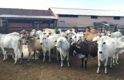Terreno à venda na Estrada Municipal, --, Centro, Araruama