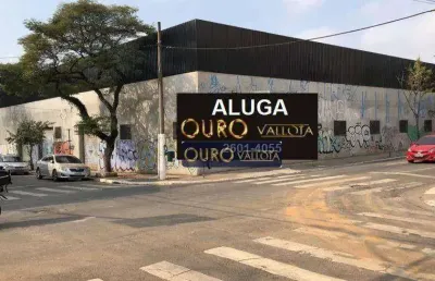 Terreno para alugar, 2970 m² por r$ 162.419,70/mês - cambuci - são paulo/sp
