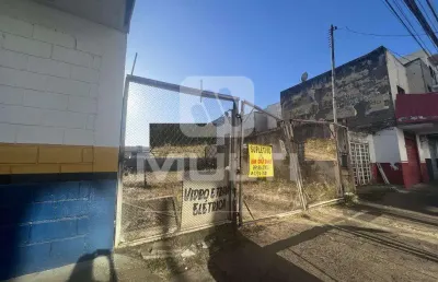 Terreno comercial para alugar na Nossa Senhora Aparecida, Uberlândia 