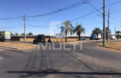 Terreno comercial para alugar no Santa Mônica, Uberlândia 