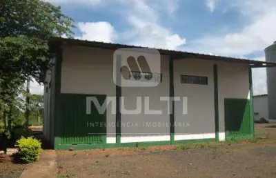 Barracão / Galpão / Depósito para alugar na Área Rural de Uberlândia, Uberlândia 