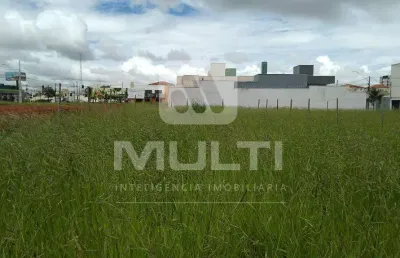 Terreno comercial para alugar no Novo Mundo, Uberlândia 