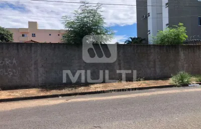 Terreno comercial para alugar no Santa Mônica, Uberlândia 