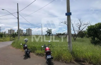 Terreno comercial para alugar no Luizote de Freitas, Uberlândia 