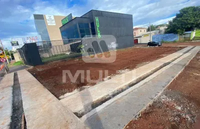 Terreno comercial à venda no Tabajaras, Uberlândia 