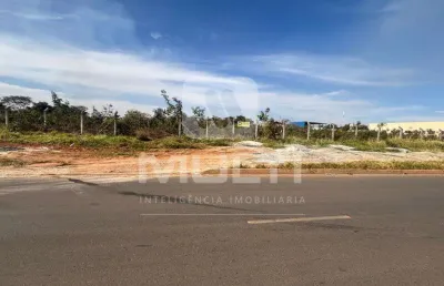 Terreno comercial à venda no Chácaras Bonanza, Uberlândia 