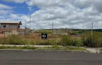 Terreno à venda na Rua Pastor Alcy Vaz Da Costa, Morro Alto, Guarapuava