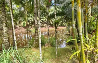 Chácara para venda em joinville, pirabeiraba, 3 dormitórios, 1 suíte, 2 banheiros, 2 vagas