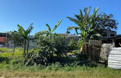 Terreno à venda no Pegorelli, Caraguatatuba 