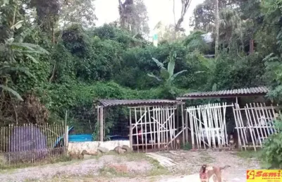 Chácara / sítio com 1 quarto à venda no Centro, Mairiporã 