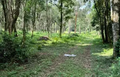 Terreno à venda na rodovia br-376, contenda, são josé dos pinhais por r$ 1.600.000