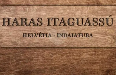 Fazenda à venda na Rodovia Engenheiro Paulo de Tarso Souza Martins, Morro Torto, Indaiatuba