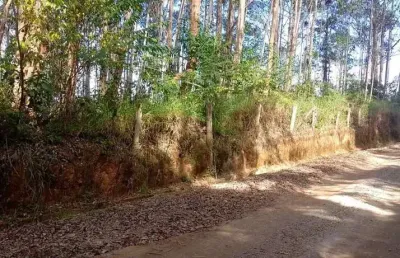 Terreno à venda no Braunes, Nova Friburgo 