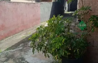 Terreno à venda em são caetano do sul-sp, bairro barcelona, 500m² de área. aproveite essa oportunidade!