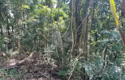 Casa em condomínio fechado à venda na Vereador Belarmino Pereira De Carvalho, Serra da Cantareira, Mairiporã