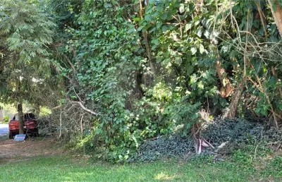 Terreno à venda na Jequitibá, Serra da Cantareira, Mairiporã