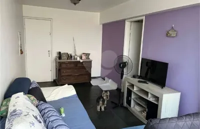 Apartamento com 3 quartos à venda na Avenida Nova Cantareira, Tucuruvi, São Paulo