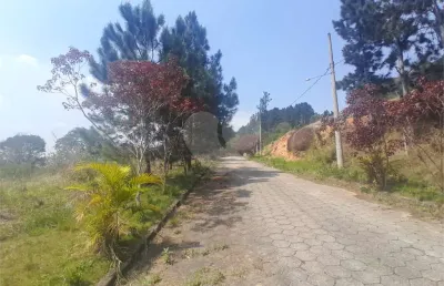 Terreno à venda na A - Austria Cant, Juqueri Mirim, Mairiporã