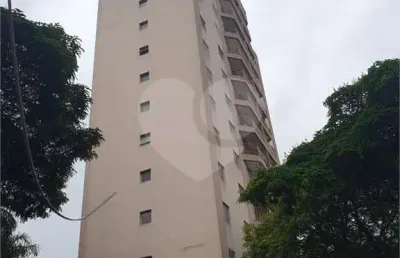 Apartamento com 3 quartos à venda em vila paulicéia - sp