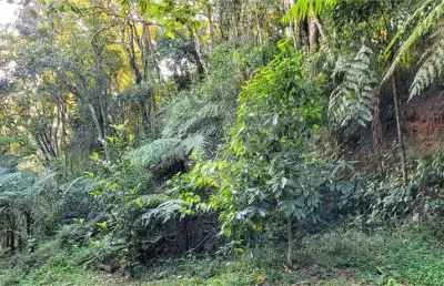 Casa em condomínio fechado à venda na Das Gaivotas, Serra da Cantareira, Mairiporã