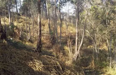 Terreno à venda, 8600 m² por r$ 400.000,00 - jardim dos lagos - franco da rocha/sp