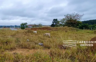 Terreno à venda na Avenida Américo Ribeiro de Souza, S/N, Jardim Panorama, Caçapava