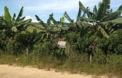 Chácara / sítio com 1 quarto à venda na Rua Aníbal José Faria, Sítio, Guamirim, Caçapava