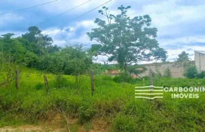 Chácara / sítio com 1 quarto à venda na Avenida Jequitibá, S/N, Vila Velha, Caçapava