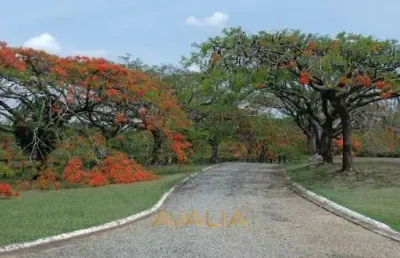 Terreno en condomínio para venda em jardim villa sapezal de 360.00m²