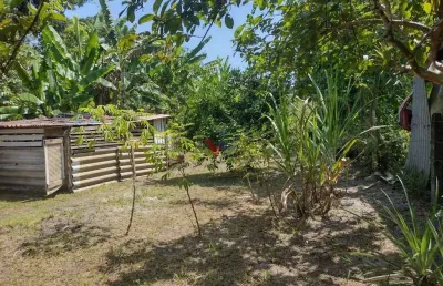 Chácara para venda em alexandra de 1820.00m² com 2 quartos